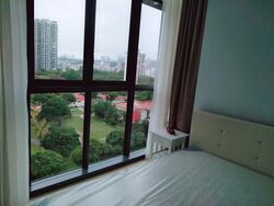 City Suites (D12), Apartment #533182721
